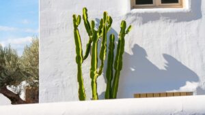 maison méditerrannéenne