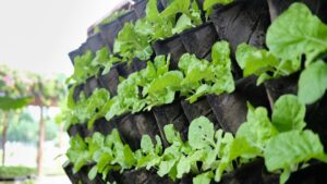 potager verticale