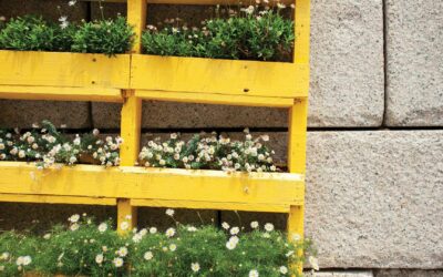 Transformer une palette en jardinière : guide pratique